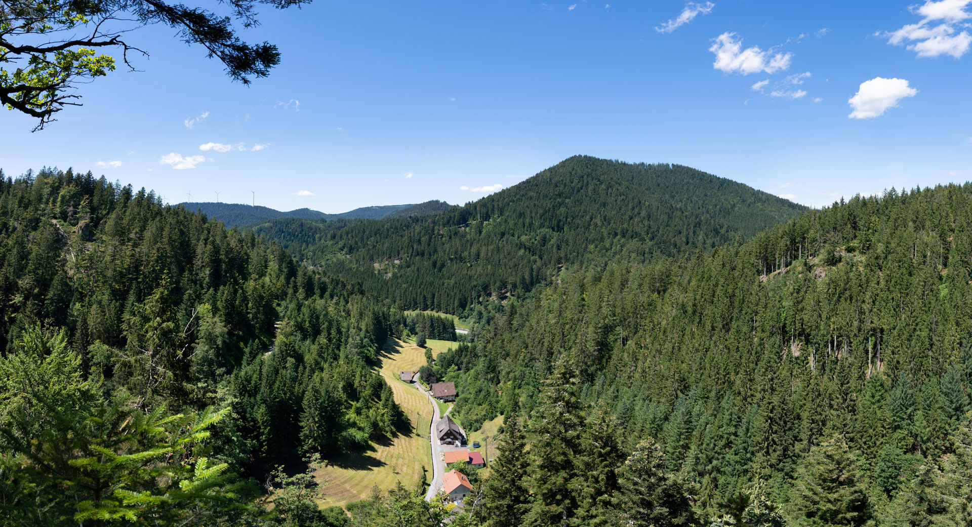 Aussicht auf der Klösterle-Schleife