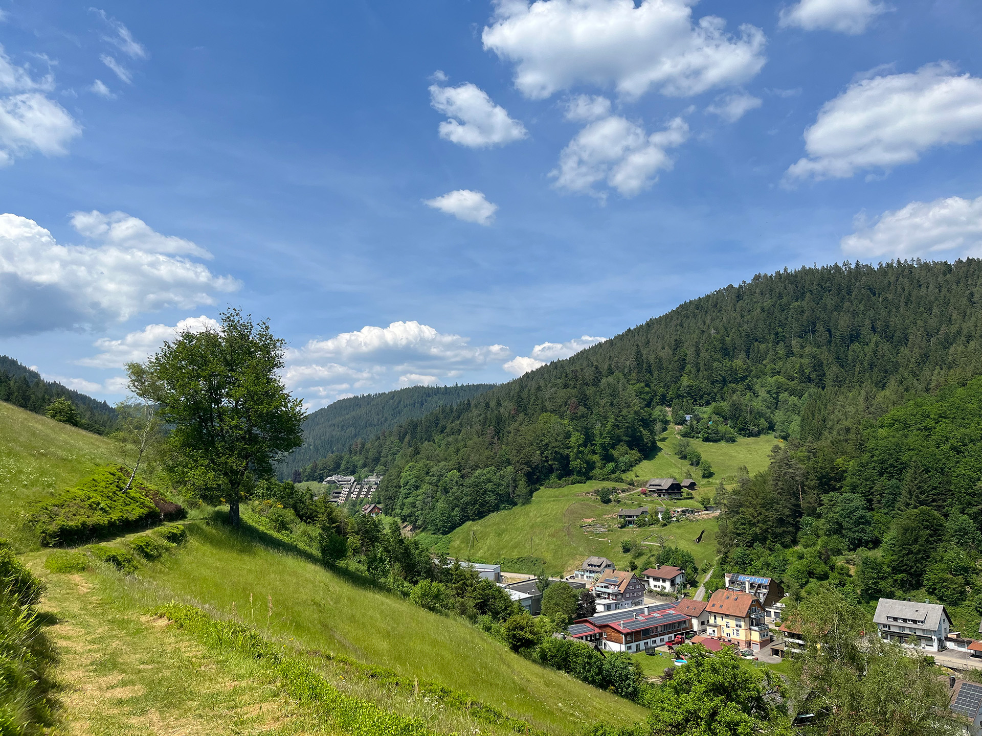 Blick über Bad Rippoldsau