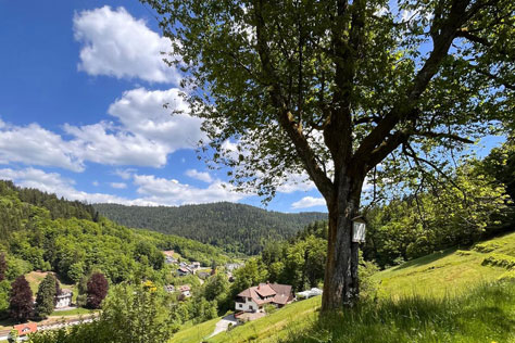 Wohlfühlen