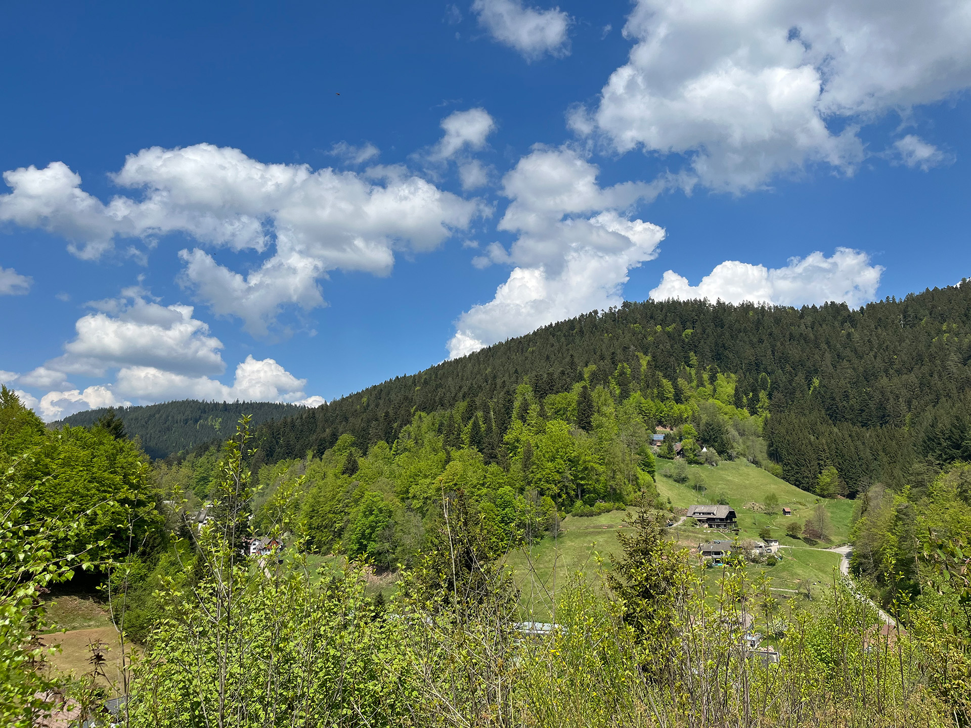 Aussicht